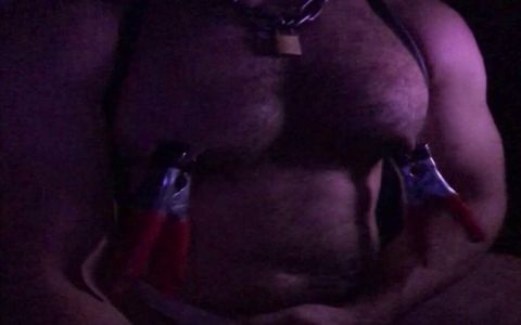 Hairy Hunk Pig - Extreme Nipple Clamps