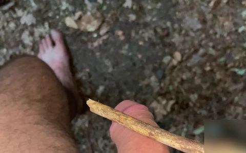 Forest Spanking With Stick