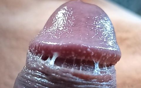 Precum Foreskinuncut