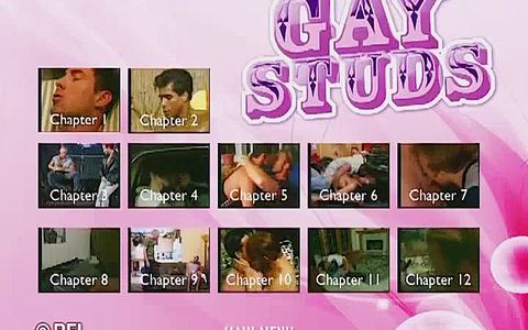 Gay studs -DVD-