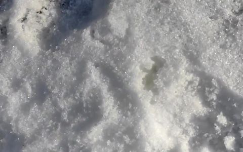 Close up Cum to the Snow and Showing Cum in the Snow