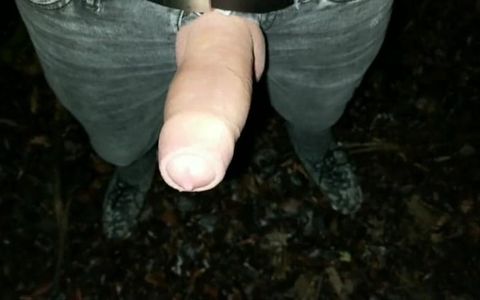 Thick Pulsating Cock Cumming 2 Times in One Evening Outdoor