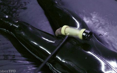 Rubber extraction asylum