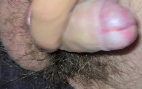 Hairy Cock Masturbation