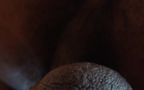 Keep Eating My Ass Hallelujah Johnson (Watch This Porn With Me)