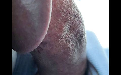 Hlywddawg big cock flashing