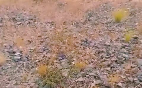 Mexican Soldier on Duty Masturbates Outdoors While His Bosses Are Away