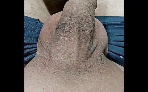 A Cock Close up
