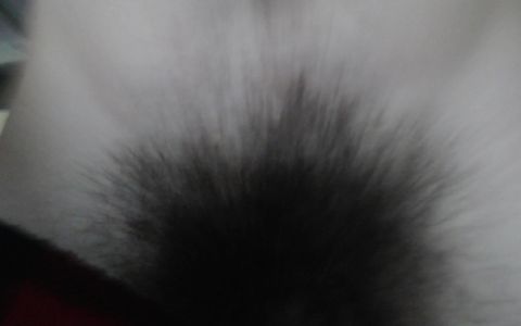 Straight Dom Session