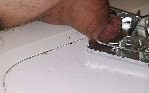 Torment micropenis mouse trap BDSM cbt sph