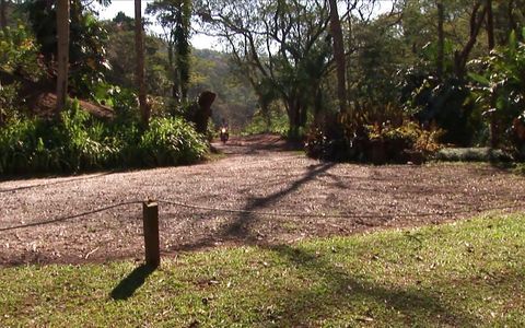 Two Hot Gorgeous Hunks Fuck in the Wood