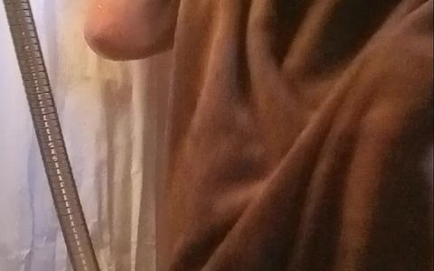 Shower Clip