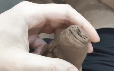 A Lot of Dick for You 3